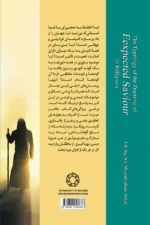 گونه شناسی اندیشه منجی موعود در ادیان - Image 2