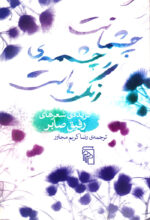 چشمانت چشمه‌ی رنگ‌هاست